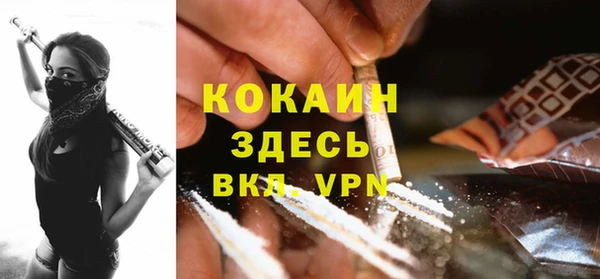 гашик Чекалин