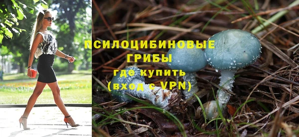 гашик Чекалин