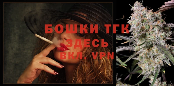 гашик Чекалин