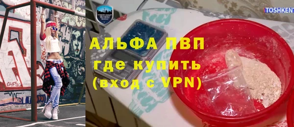 гашик Чекалин