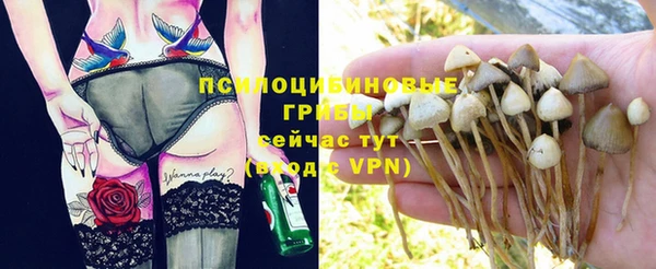 MESCALINE Чердынь