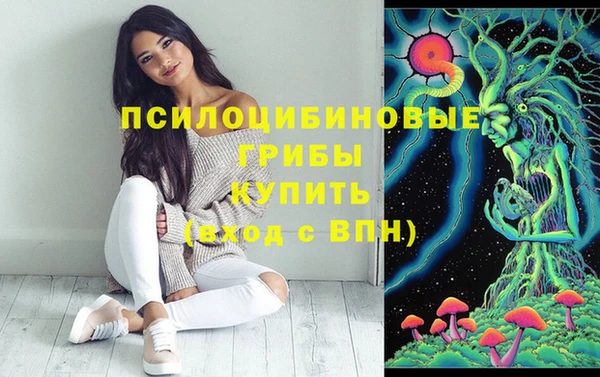 гашик Чекалин