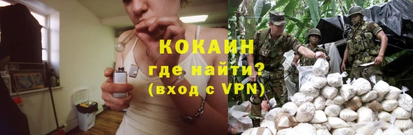 гашик Чекалин