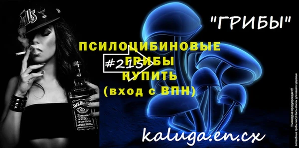 MESCALINE Чердынь
