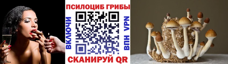 Псилоцибиновые грибы мухоморы  Купить закладки  Лагань 
